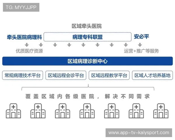 中超联合青训联盟成立,区域联动新模式推出 中超联合青训联盟成立,区域联动新模式推出