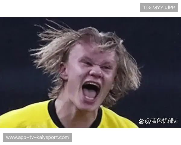 哈兰德成冬窗焦点，哈兰德成长