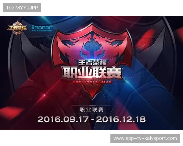 职业联赛的赞助商权益回报